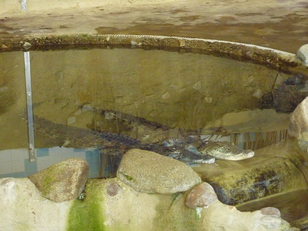 P1070504