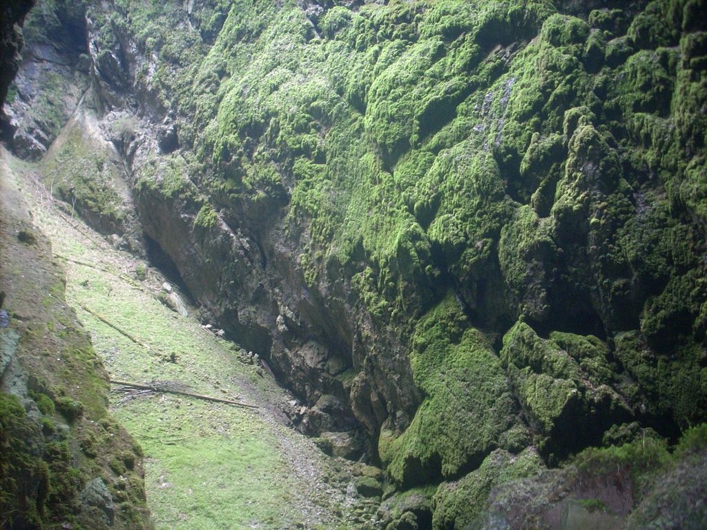 DSCN1912