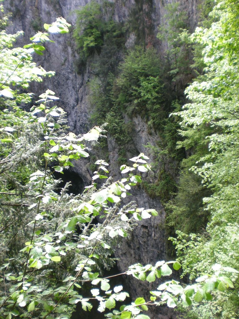 DSCN3343