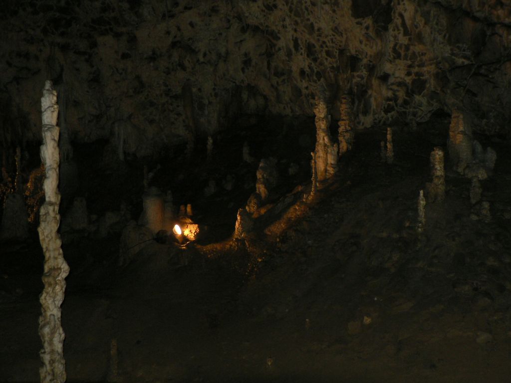 P1140502