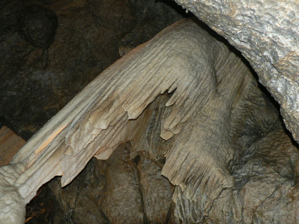 P1140527