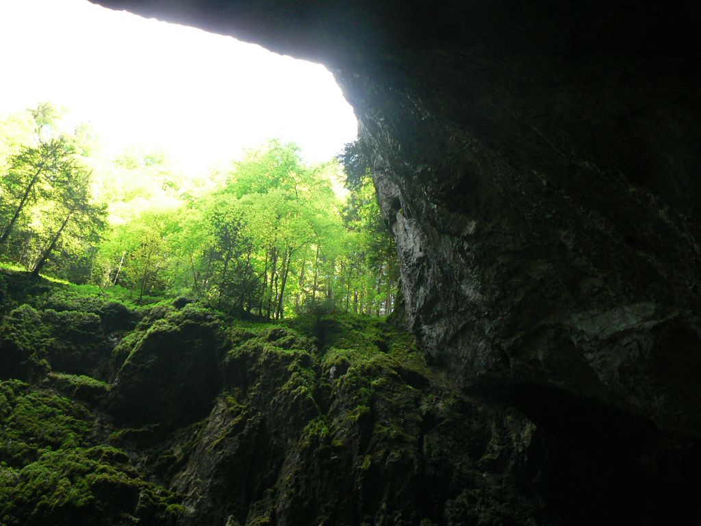 P1140534