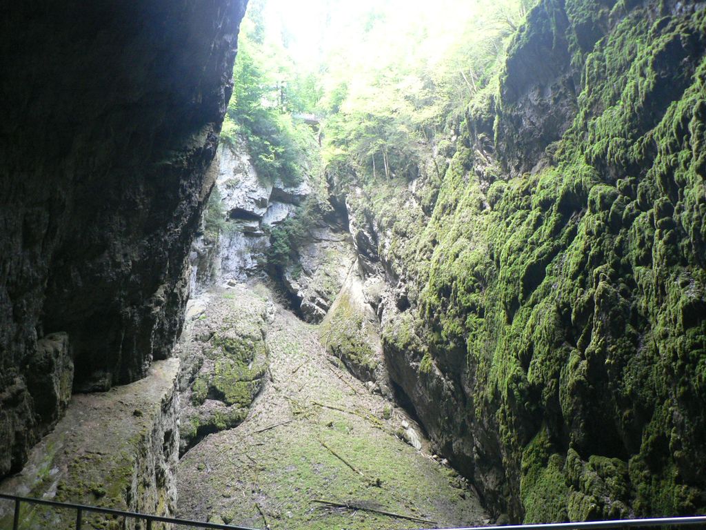 P1140542