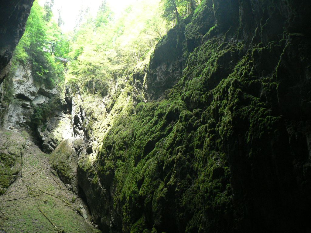 P1140551