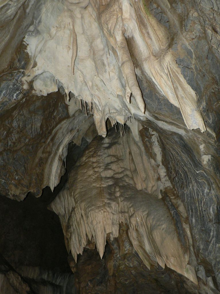 P1140556