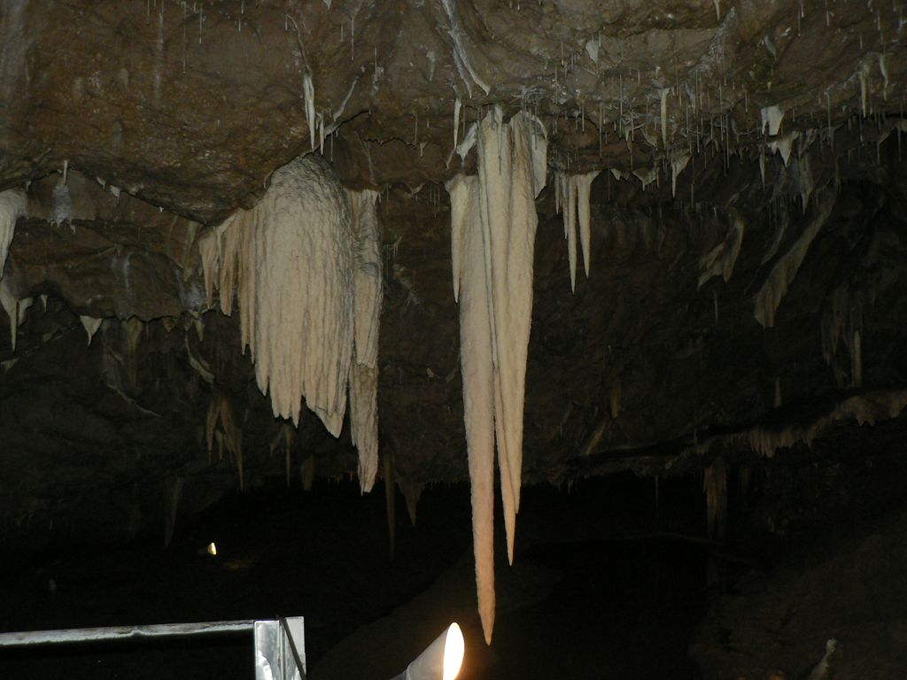 P1140561