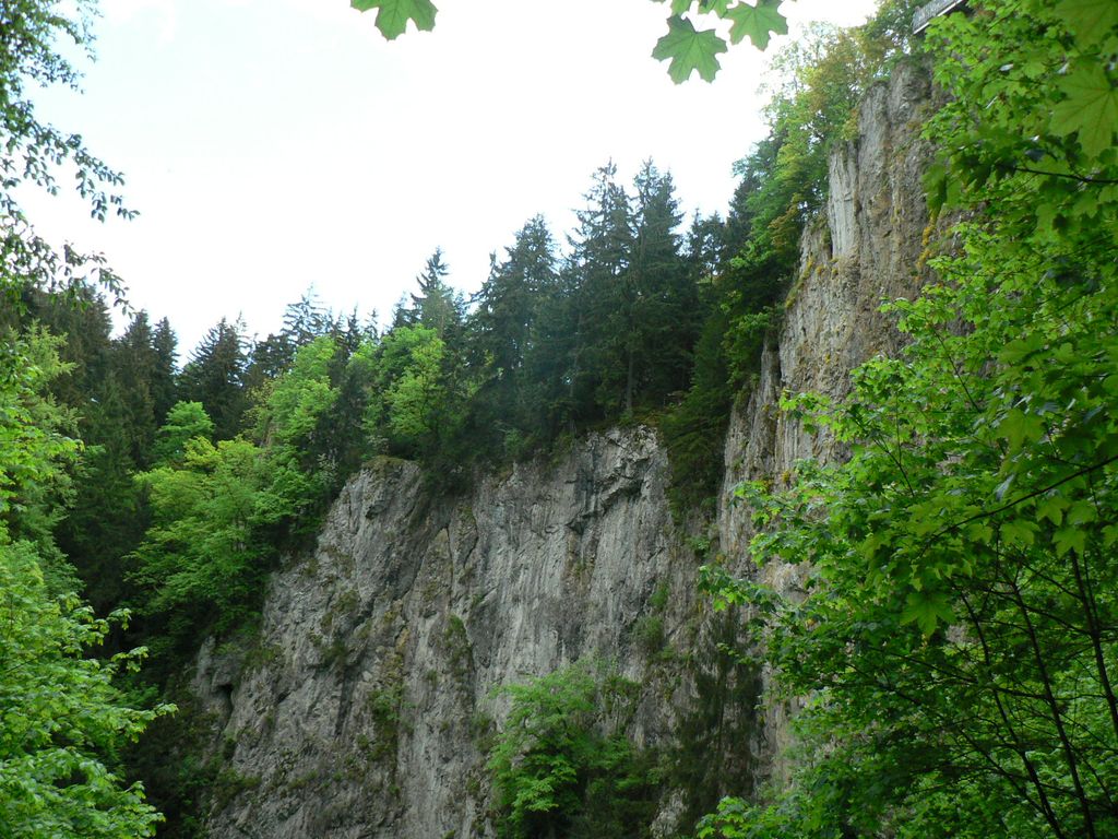 P1140578