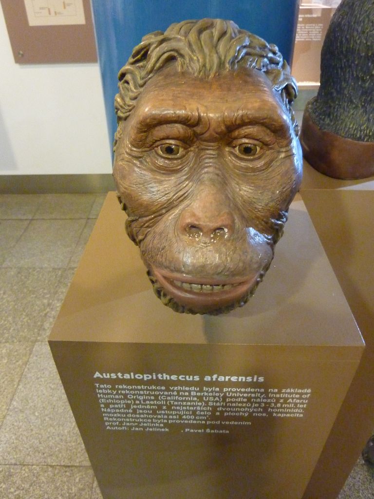 P1110381