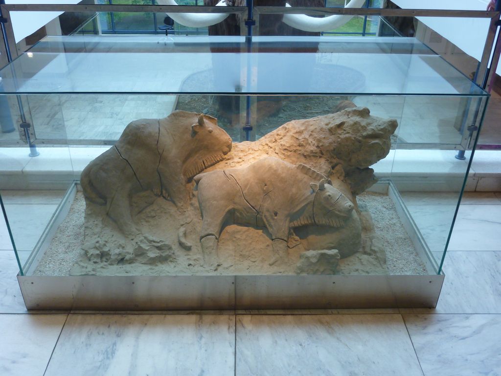 P1110397