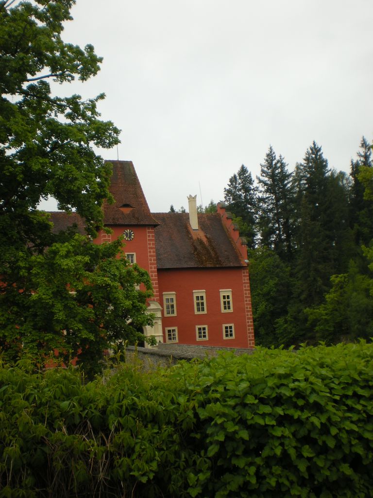 DSCN0017