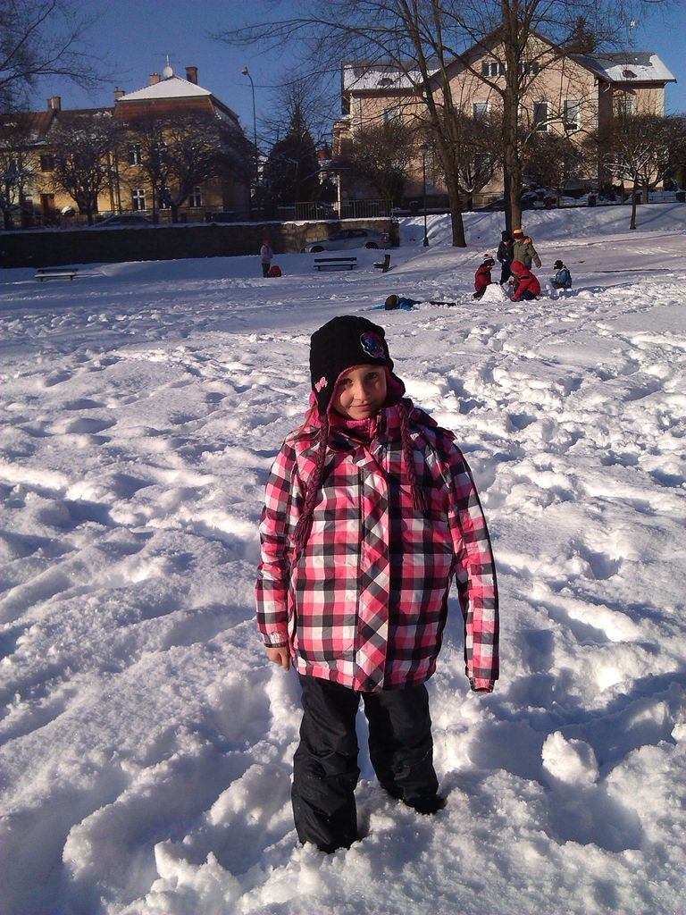 IMG_20150106_140611