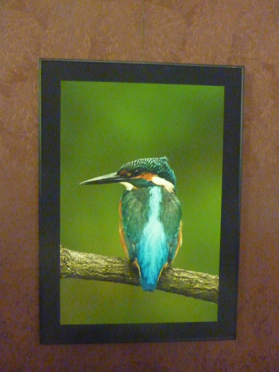 P1130322