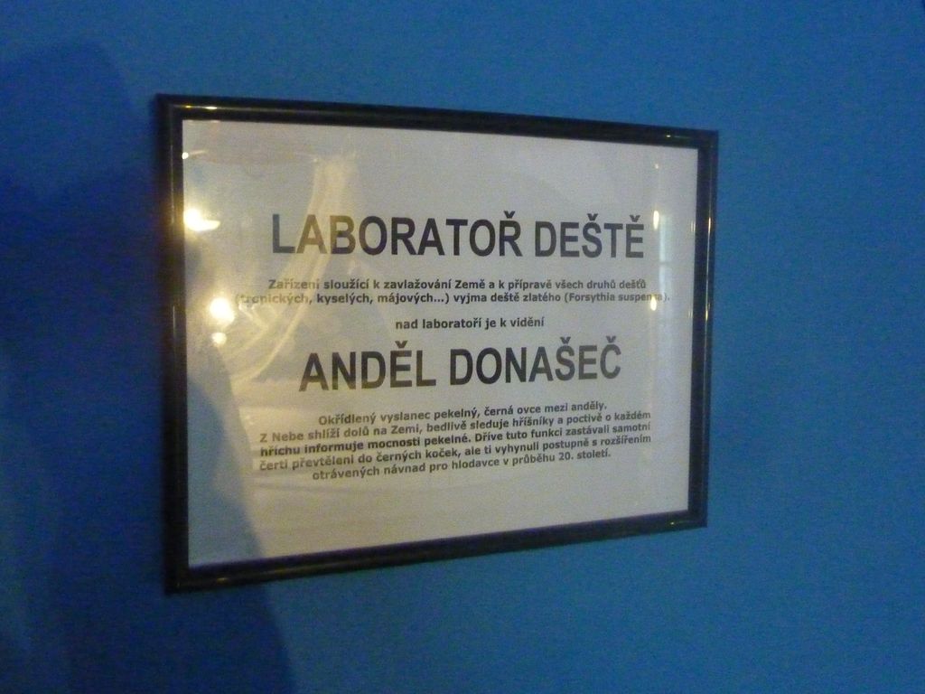 P1130649